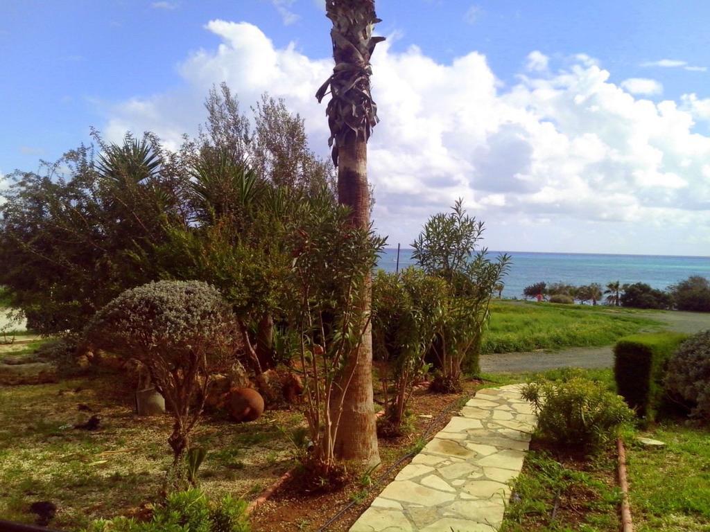 Yialos Apartments Pissouri Quarto foto